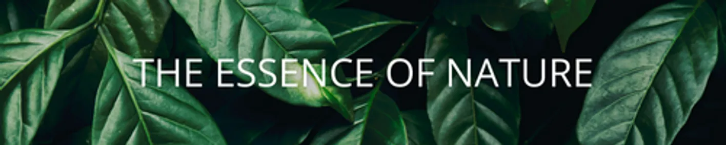 DERMOTEN | A Unique Offer DERMOTEN | A Unique Offer