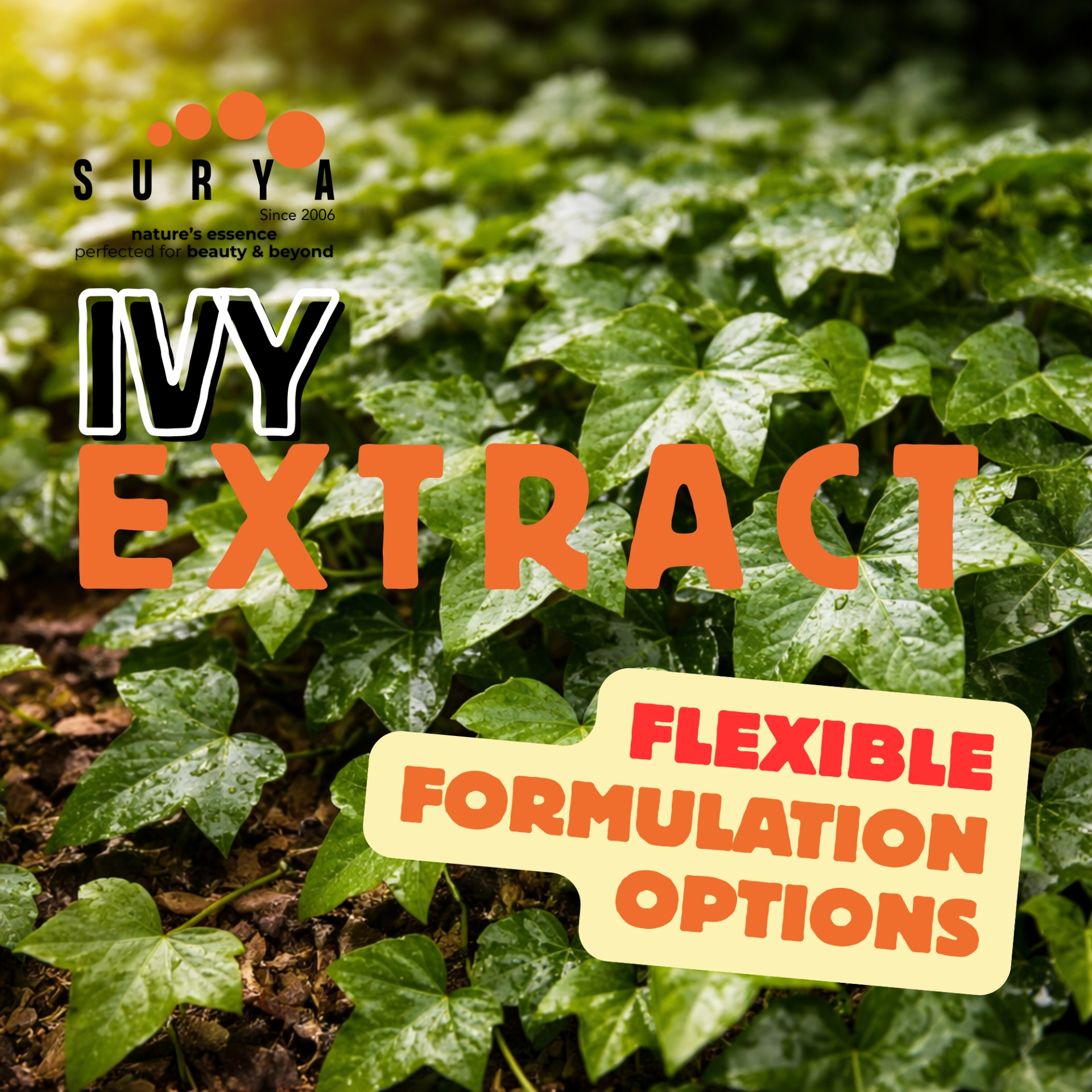 IVY EXTRACT