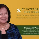 World's leading experts converge to build a bacterial blight-resistant future at the 7th International Conference on Bacterial Blight