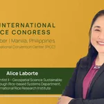 International Rice Research Conference presents strategies and trends for sustainable rice agriculture