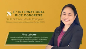 International Rice Research Conference presents strategies and trends for sustainable rice agriculture International Rice Research Conference presents strategies and trends for sustainable rice agriculture
