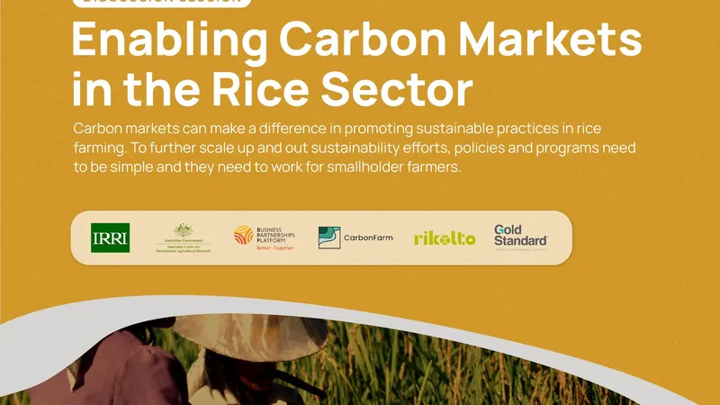 Enabling Carbon Markets in the Rice Sector