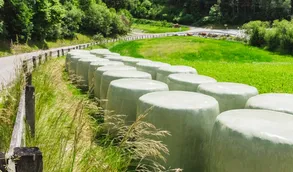 Circular Agriculture: High-Quality Recycled Films Circular Agriculture: High-Quality Recycled Films