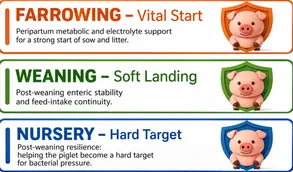 Three Critical Moments. Three ACTIVE FEEDING Modules. Three Critical Moments. Three ACTIVE FEEDING Modules.