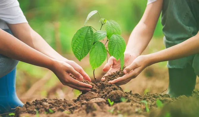 Tomorrow: Smart Farming as Value Creation — The Fraunhofer Institute on the DLG Expert Stage Tomorrow: Smart Farming as Value Creation — The Fraunhofer Institute on the DLG Expert Stage