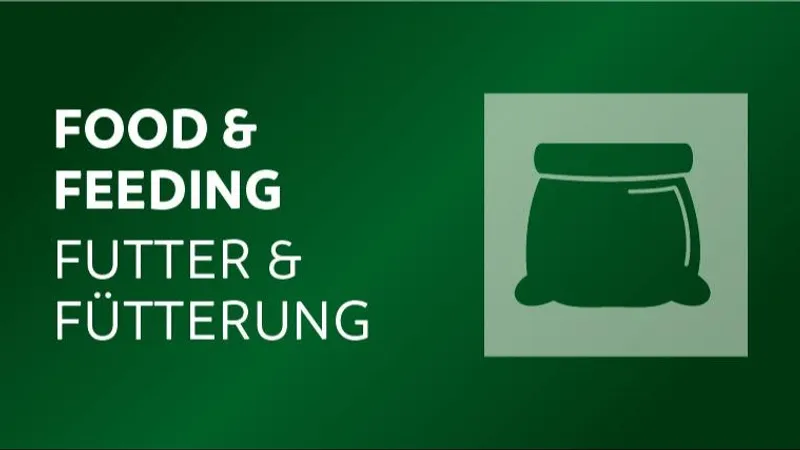 Good feed starts with KWS seeds – How Seed2FEED combines plant breeding and animal nutrition into a holistic feeding concept