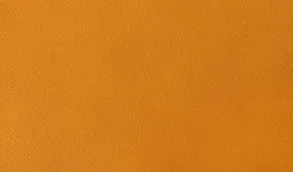 Divina Leather Divina Leather