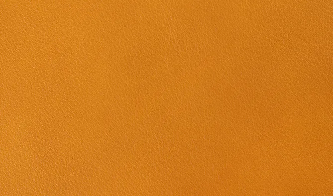 Divina Leather Divina Leather