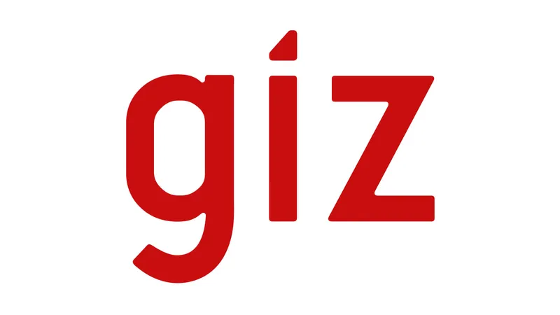 GIZ - L’emballage : un levier stratégique de compétitivité pour les PME agroalimentaires africaines.