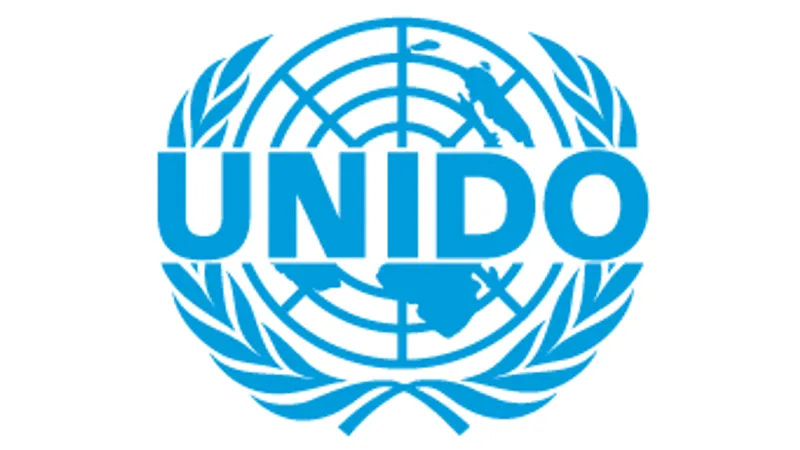 ONUDI - Défis, opportunités et voies d’action pour une filière de l’emballage écologique, circulaire, compétitive et inclusive