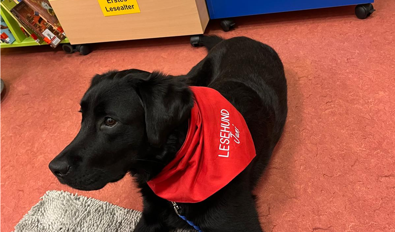 Vorlesen mit Lesehund Juni – tiergestützte Leseförderung