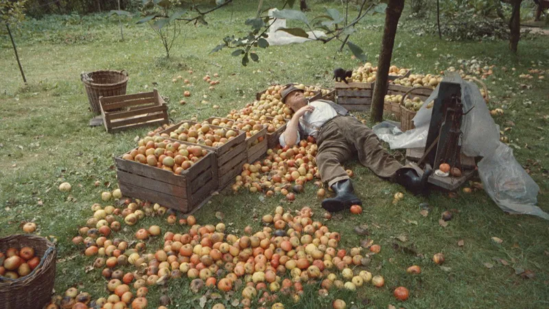 Filmscreening im DFF: SLAVNOSTI SNĔŽENEK (Das Wildschwein ist los , ČSSR 1984. R: Jiří Menzel)