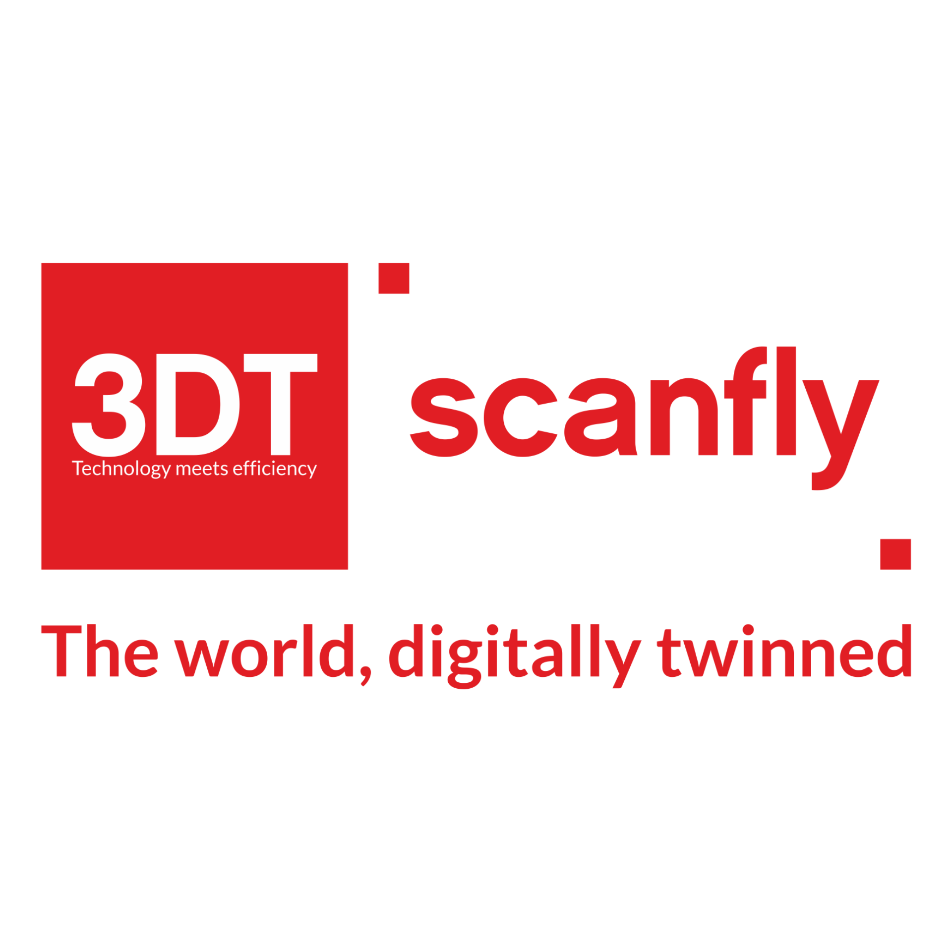 3DT Scanfly