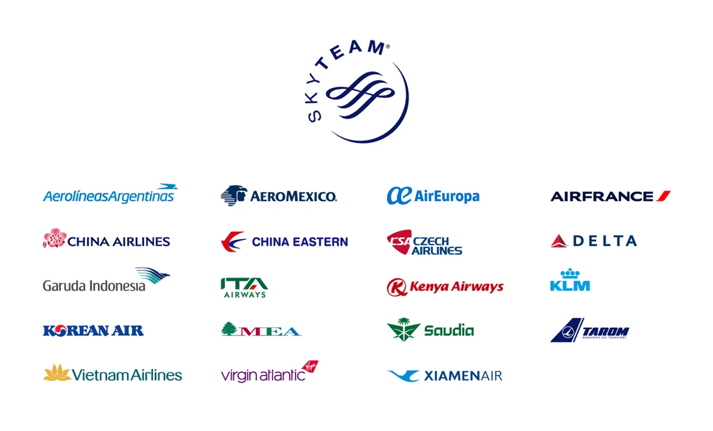 Skyteam logos