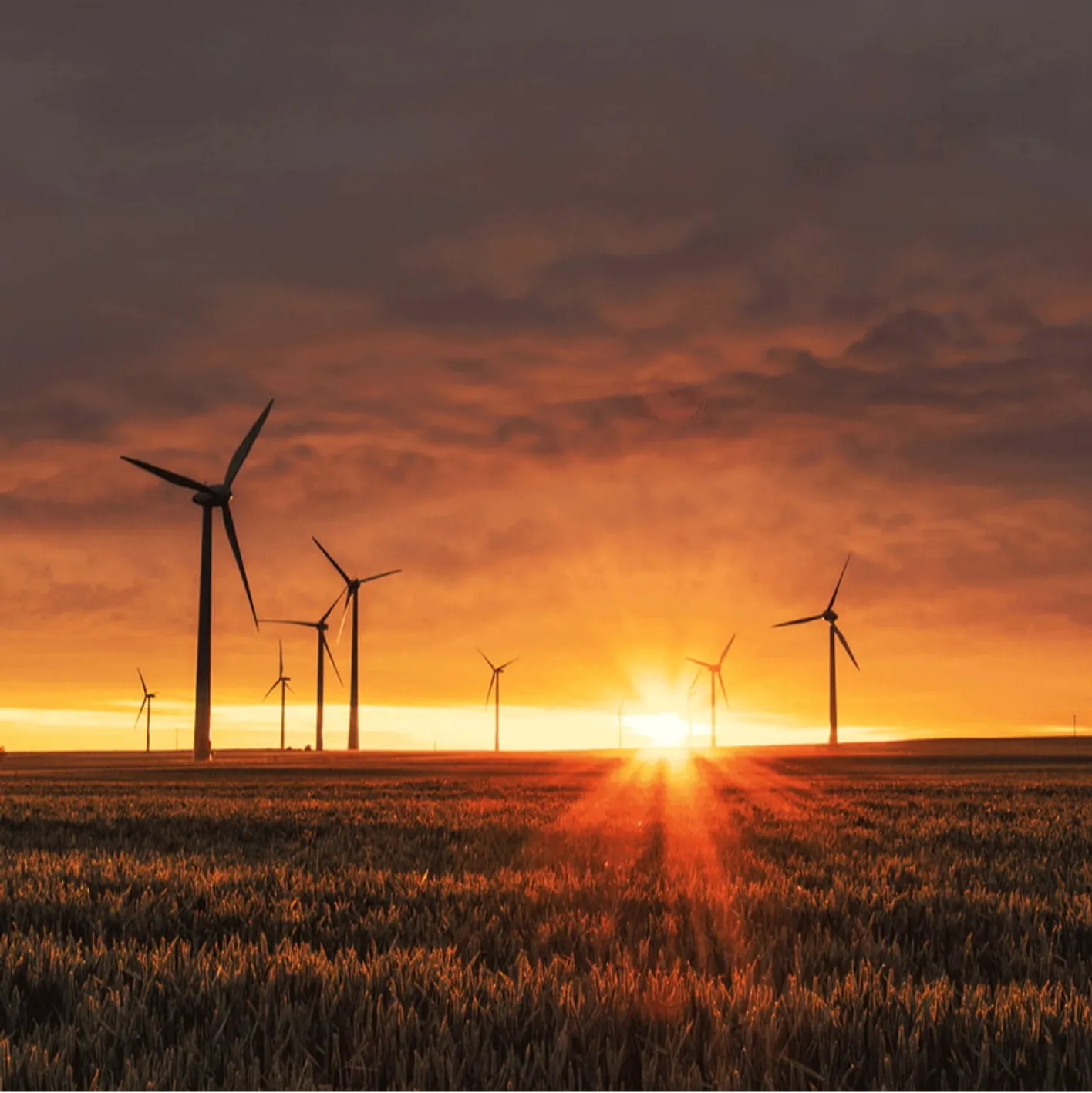Wind turbines in a field with a sunset