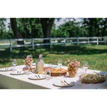 Pop-up picnic with the Lipizzaner horses: LIPICA Pop-up picnic with the Lipizzaner horses: LIPICA