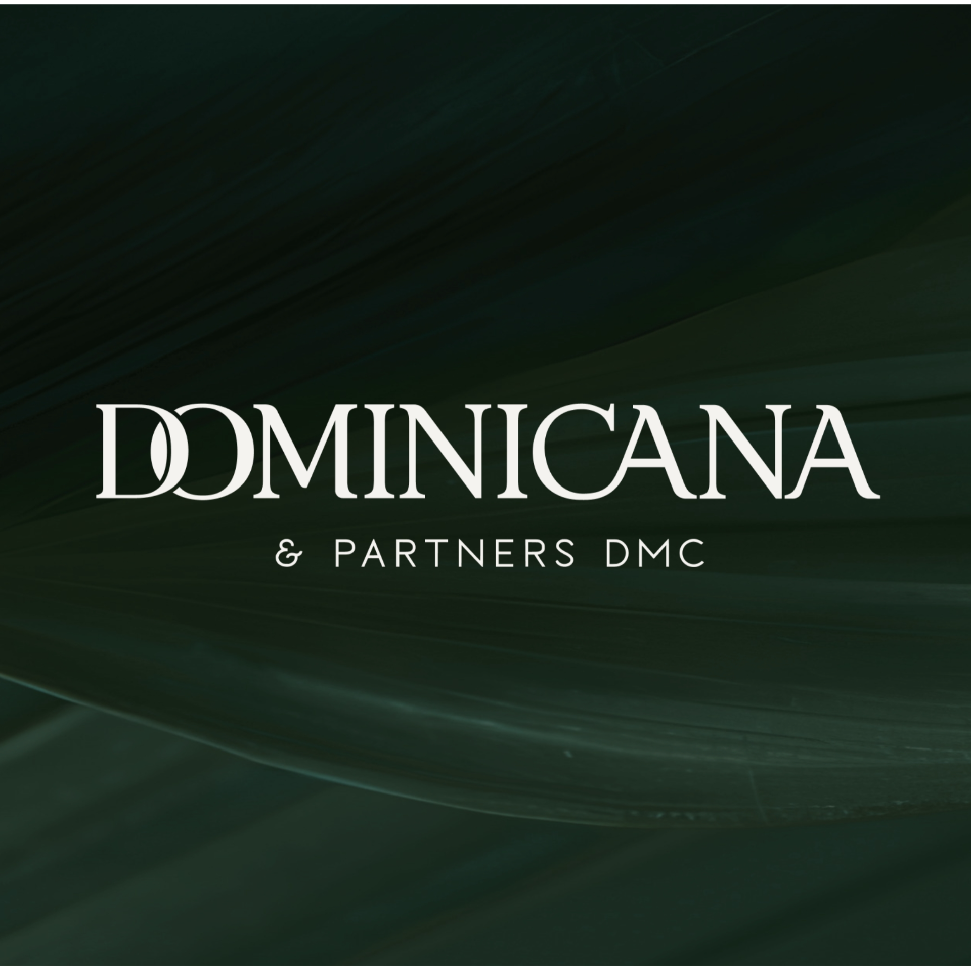 Dominicana & Partners DMC Dominicana & Partners DMC