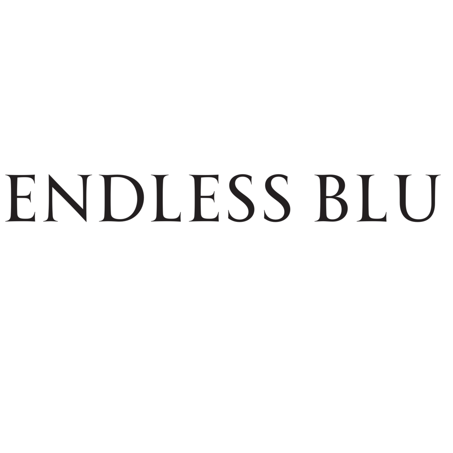 Endless Blu logo