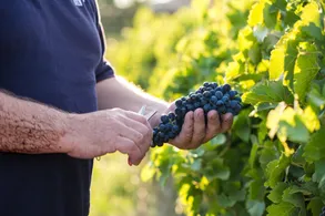 Harvest 2024 Harvest 2024