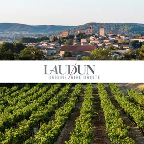 AOC LAUDUN : New Côtes du Rhône Cru AOC LAUDUN : New Côtes du Rhône Cru