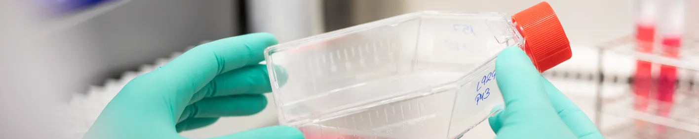 GLP Certification for Medical Device Testing GLP Certification for Medical Device Testing