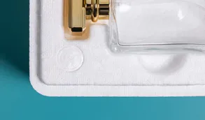Advancing Compostable PLA Foam Packaging Advancing Compostable PLA Foam Packaging