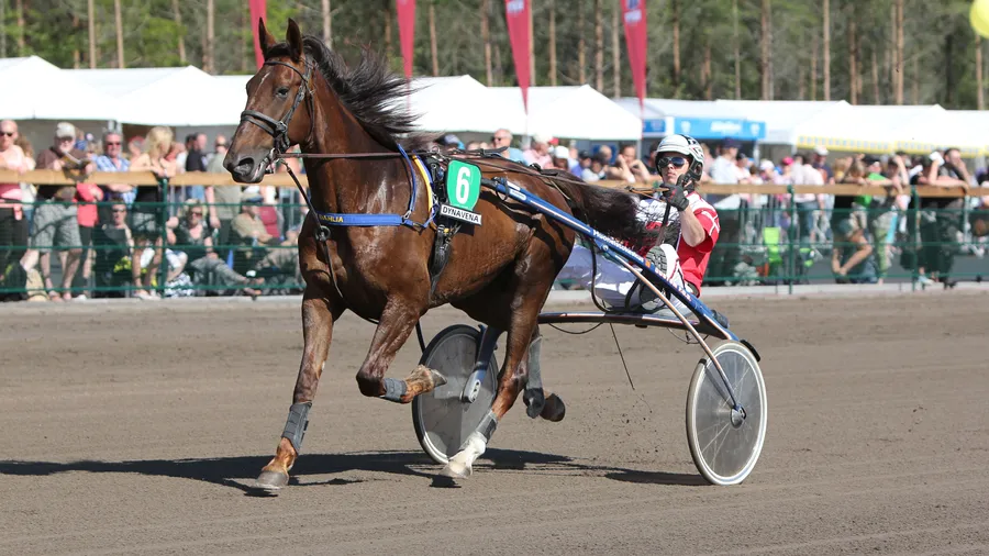 Vuoden kavionjälki -palkino 2017