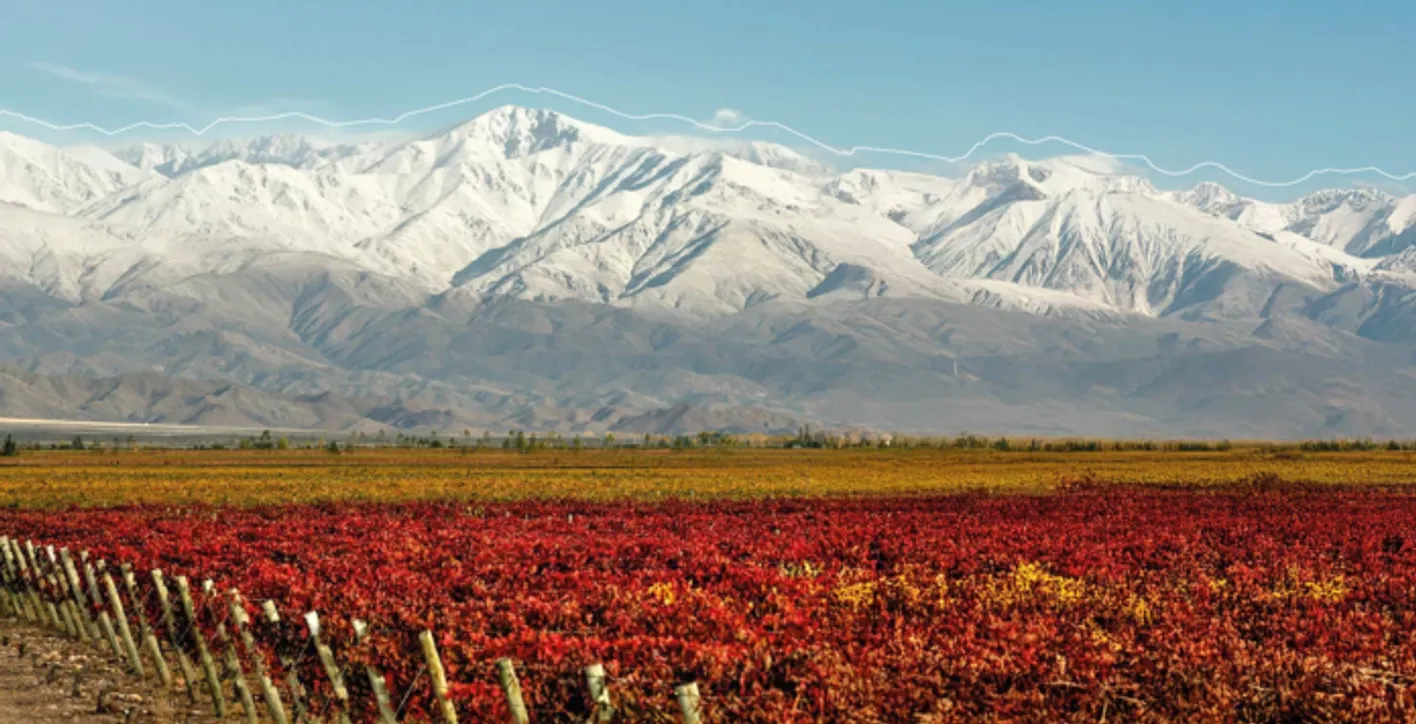 Landscape with wineries and moutains in Mendoza.