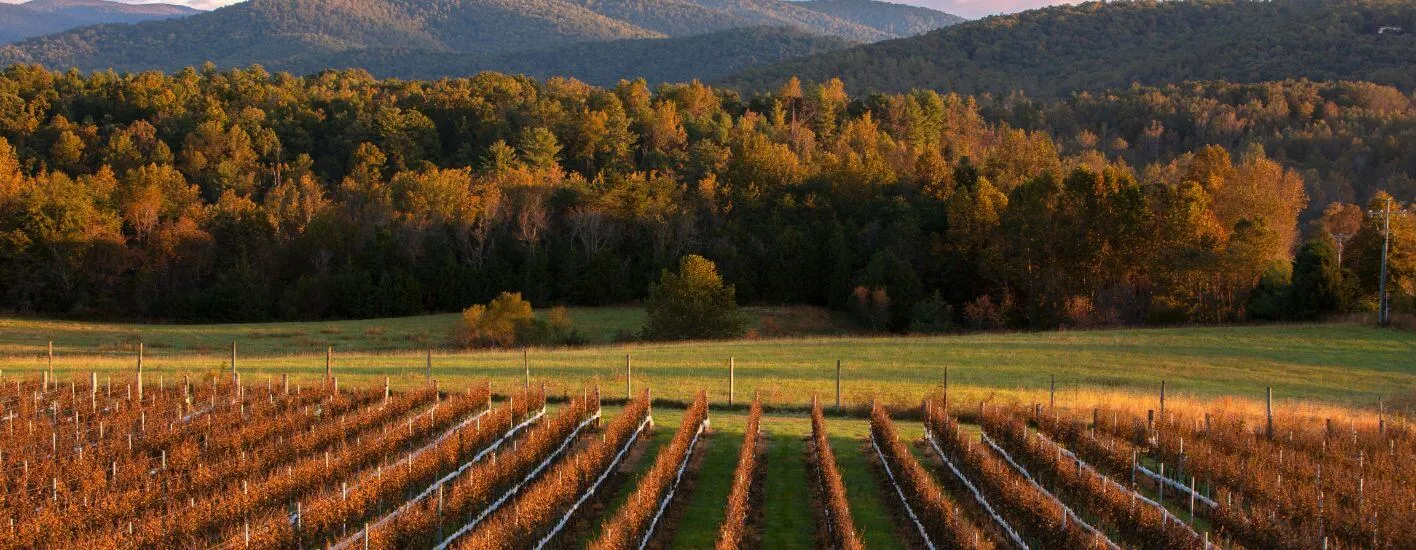 Wineries of Virgnia
