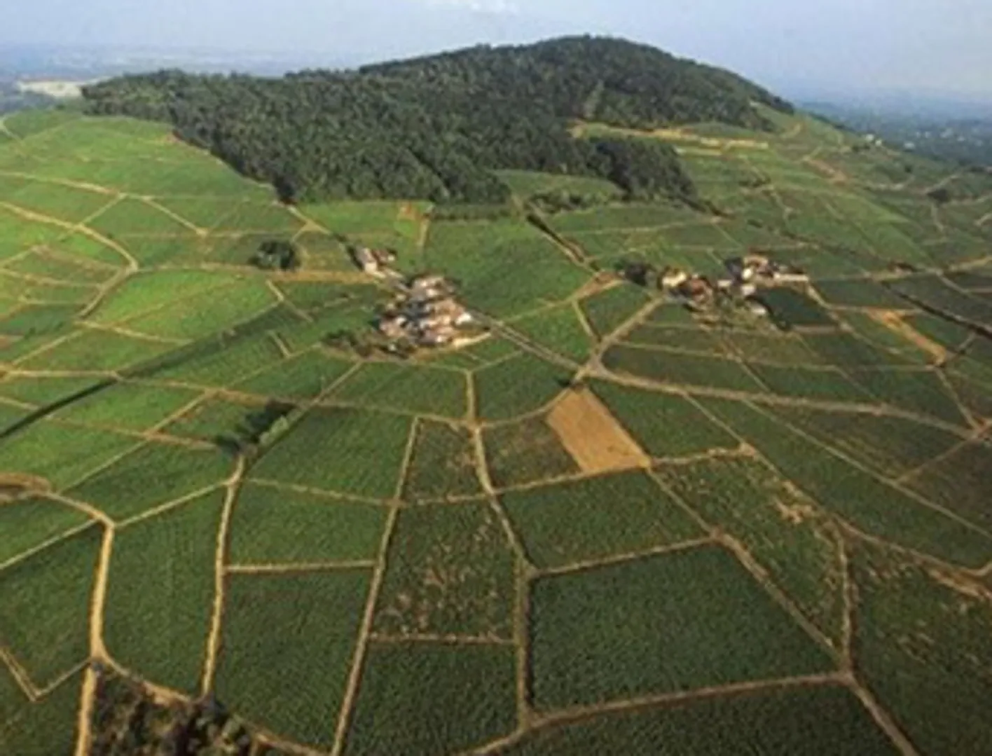 Wineries of Beaujolais