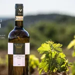Panizzi Vernaccia di San Gimignano – A Tuscan White That Speaks Across Asian Tables