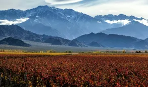 Wines of Argentina increases presence at Wine Paris & Vinexpo Paris 2024 Wines of Argentina increases presence at Wine Paris & Vinexpo Paris 2024