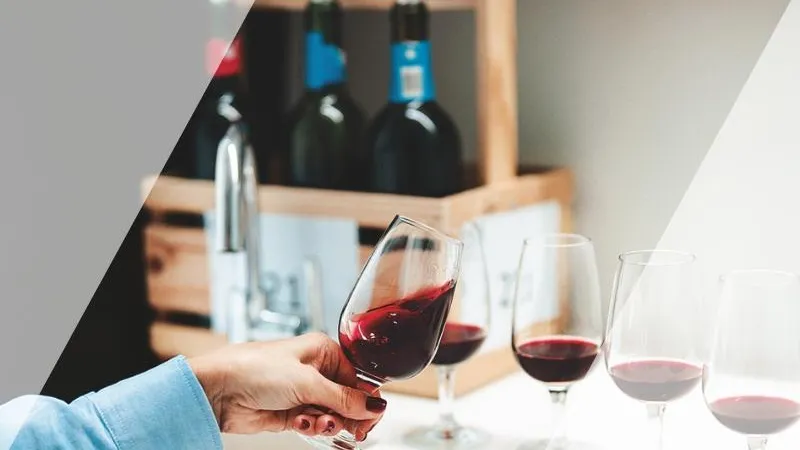 Discover the new Crus Bourgeois du Médoc 2025 Classification