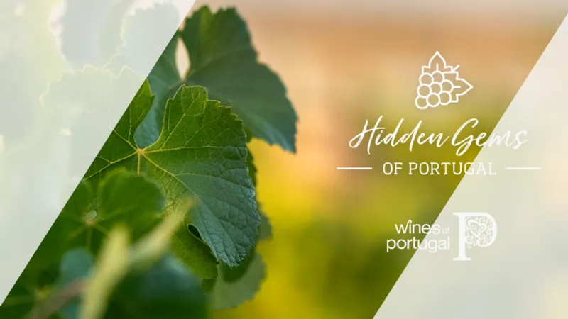 Les cépages rares des vins du Portugal