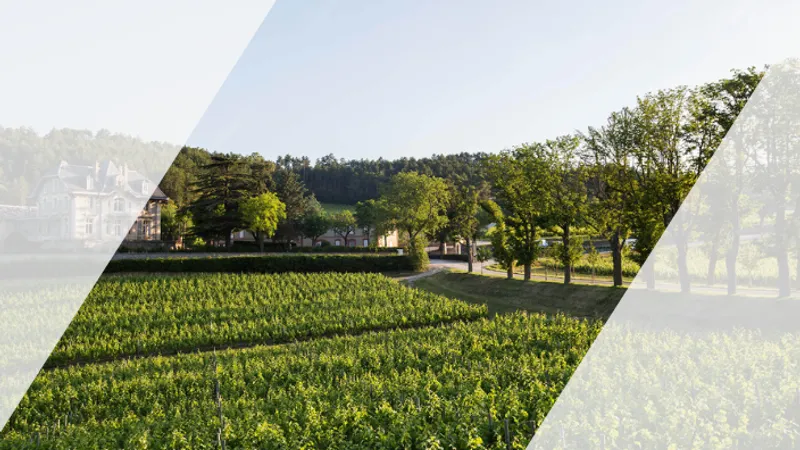 Domaine de Baronarques x Chef Jean-Christophe Martinez