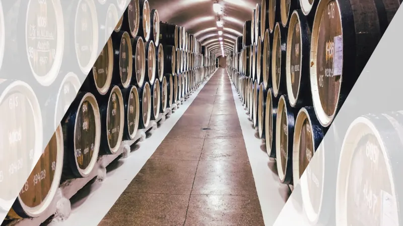 Navigating the Path Towards Sustainability: How Bulk Wine Can Drive Both Efficiency and Profitability